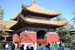 Peking